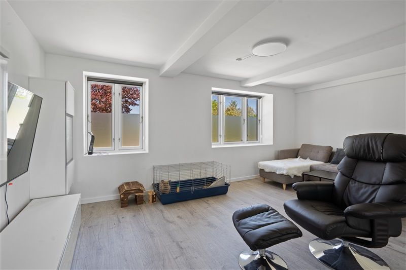 Lejlighed med kæledyrsvenligt design, trægulv og stort sovesofa. Vindue med udsigt til park.