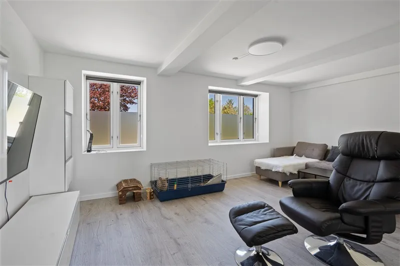 Lejlighed med kæledyrsvenligt design, trægulv og stort sovesofa. Vindue med udsigt til park.