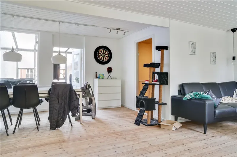 Elegant stue med lyse lofter, sort sofa, høj kattetreppe og lyse trægulv