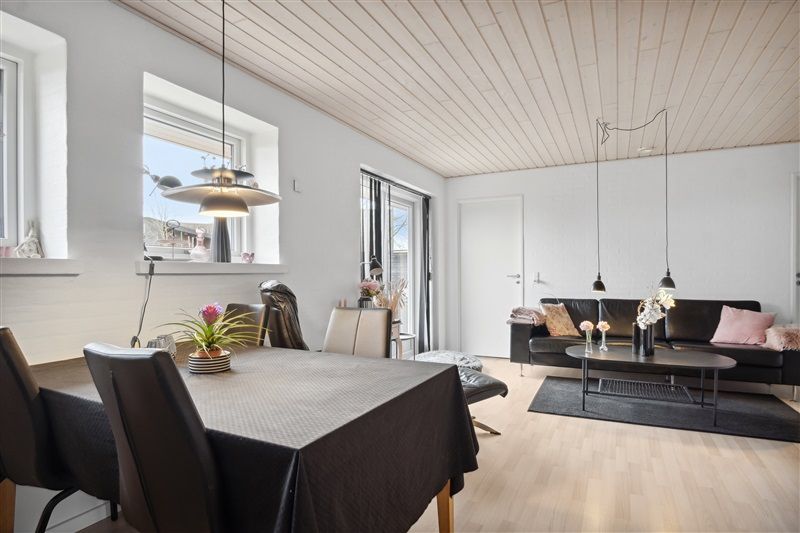 Moderne stue med højt loft, lysevinduer, møbler og plante samt lysekroner og kaffebord