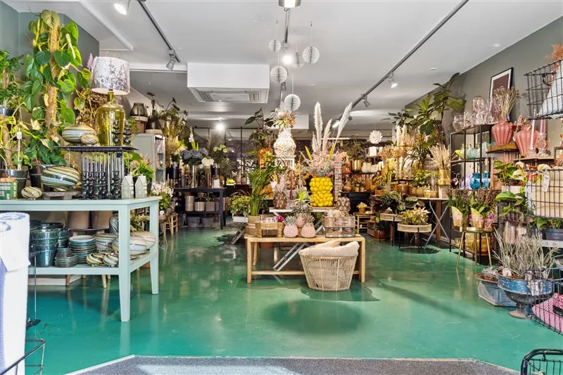 Plantebutik med grønne gulve og vægge. Planter i potter og på hylder. Lamper og andre dekorationer hængende fra loftet.