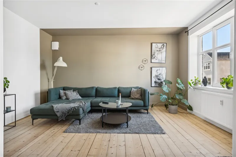 Hyggeligt stueområde med grøn sofa, runde trægulv, højt loft og hvide vægge. Der er et rektangulært gulvtæppe, et runde