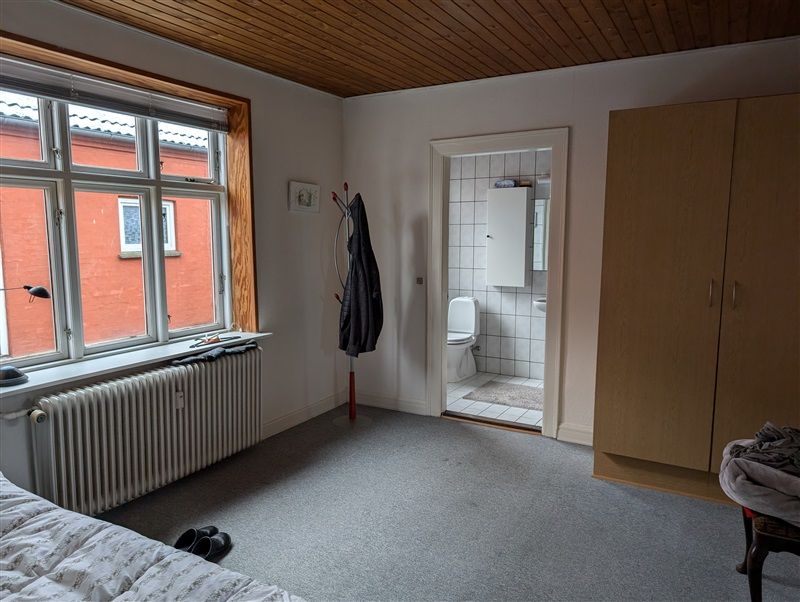 En to-værelses lejlighed med sovesofa, radiatorer, tøjstativ og toilet på gangen