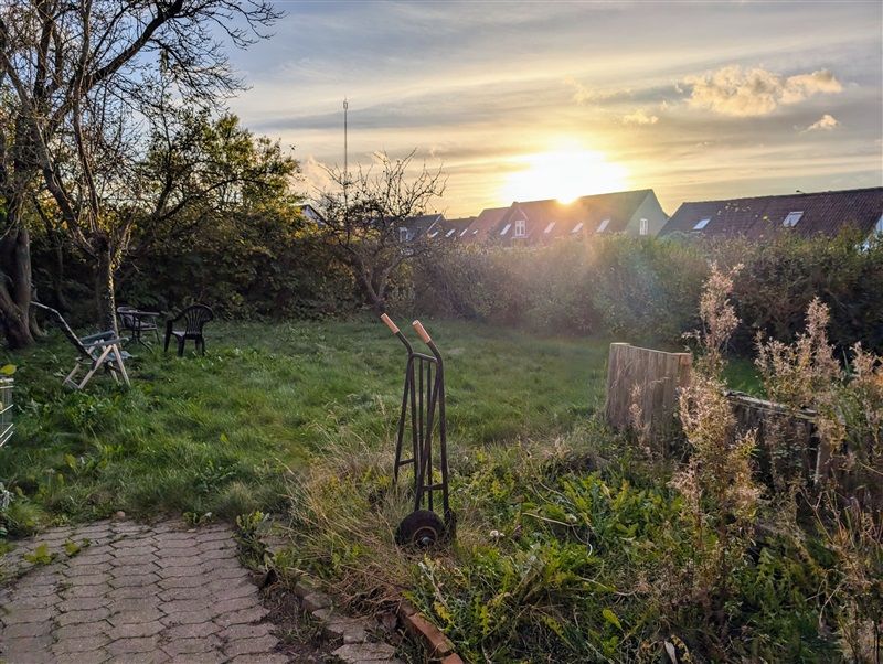 Solnedgang bag en høj husrække med træer og buske i baghaven. En vogn og stole er placeret i baghaven.