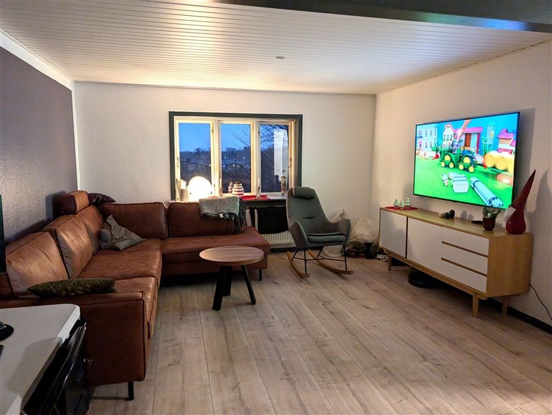 Sofaer i en stue med trægulv og fjernsyn. Lamper og plante på et bord og en stol. Et træbord med en kuglepenne.