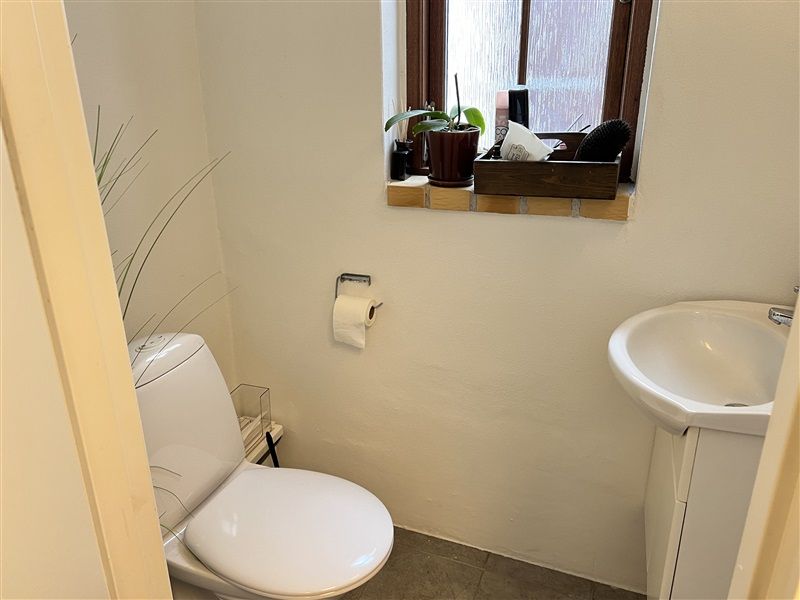 Toilet med hvid toiletset og hvidt vask. Toiletpapir i holder. Vindue med krydderurter i potter.