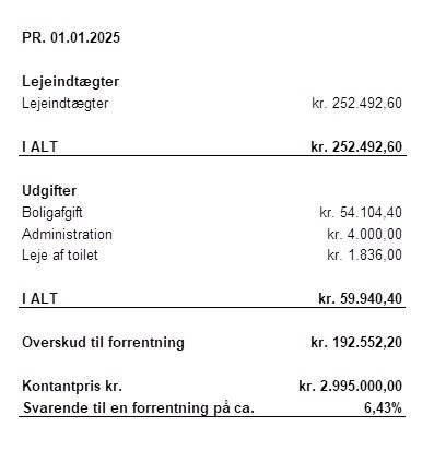 Lejeindtægter på 252.492,60 kroner og forskellige udgifter herunder boliglånsafdrag på 54.104,40 kroner. Overskud til