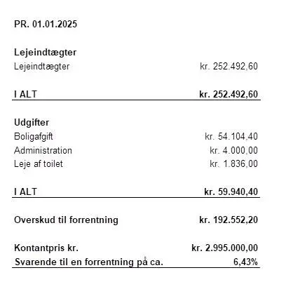 Lejeindtægter på 252.492,60 kroner og forskellige udgifter herunder boliglånsafdrag på 54.104,40 kroner. Overskud til