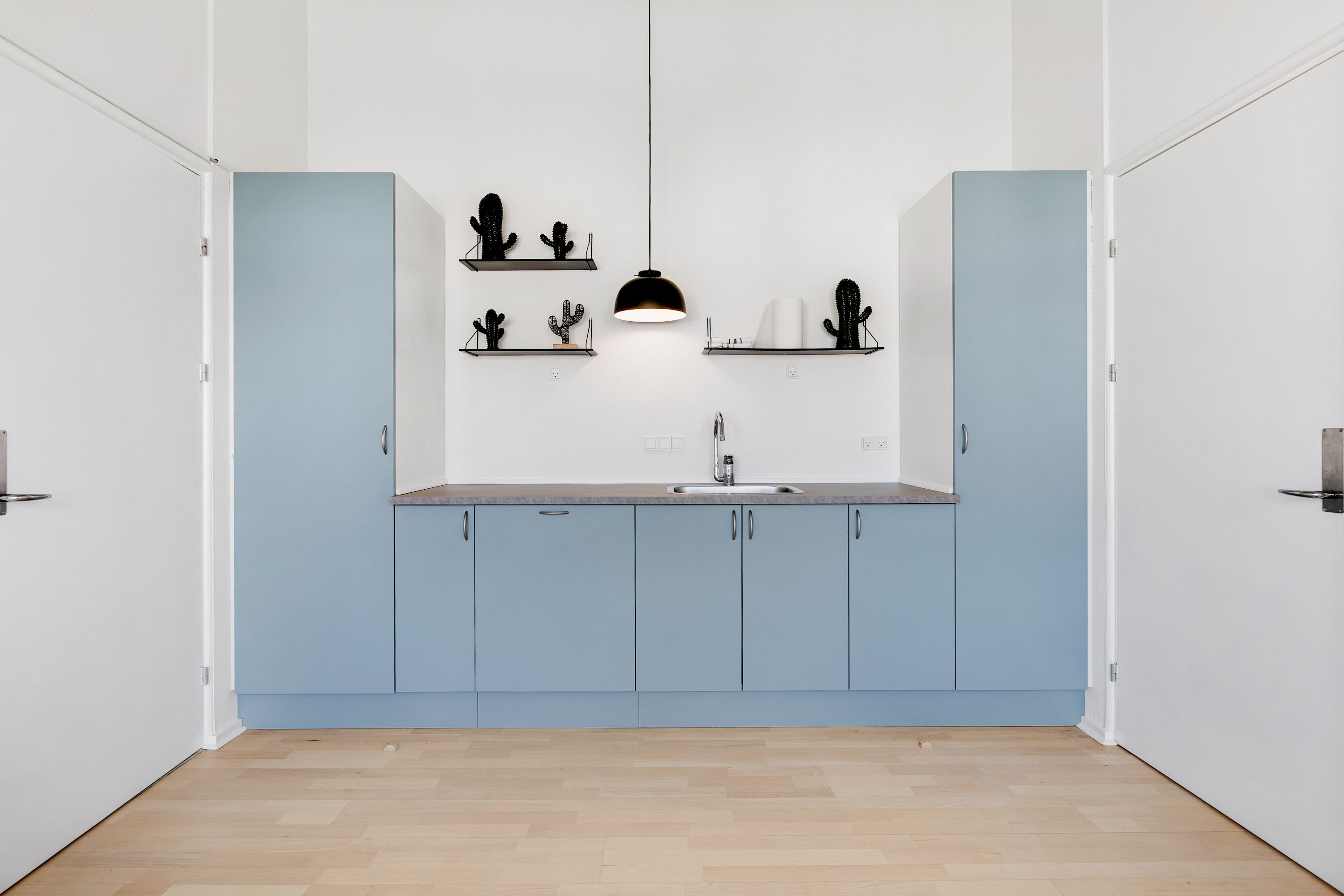 En moderne og lys køkken med blå skabe, en hvid væg og to sortmonterede hylder med smukke kaktusplanter. En lys pære hænger