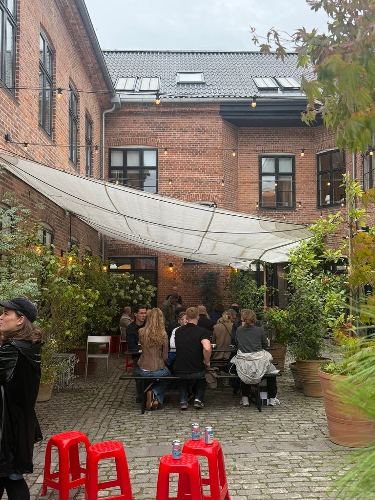 Gruppe af folk sidder og nyder mad og drikke på en terrasse i et butiksområde med plantegrønne og lysekroner