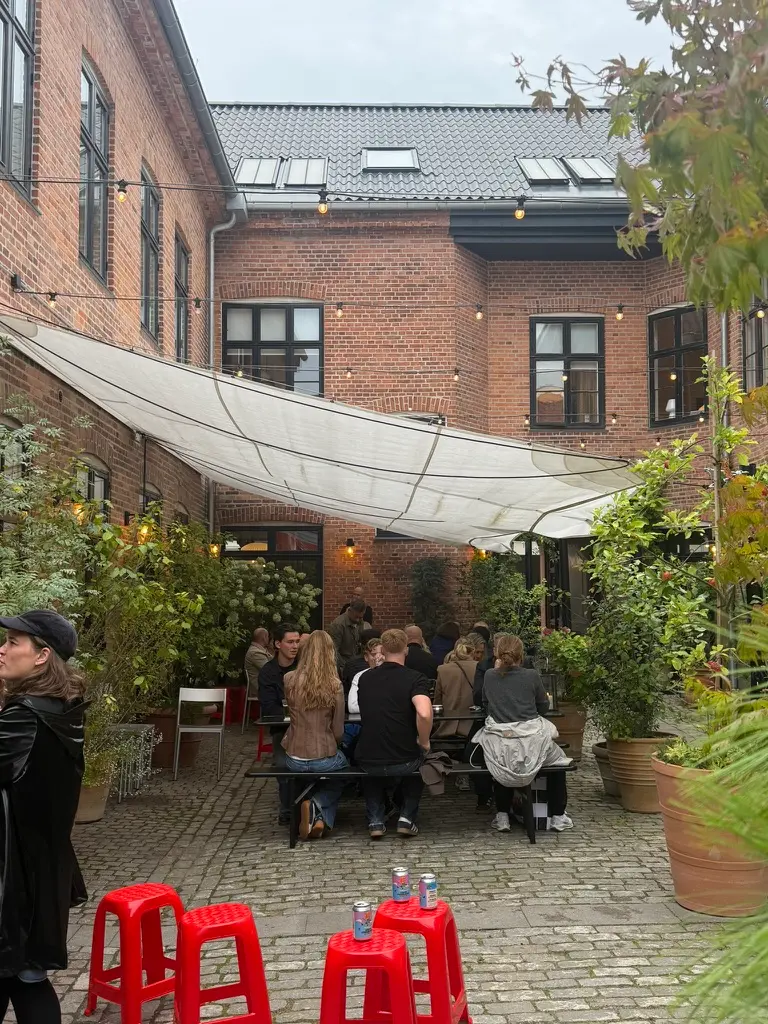Gruppe af folk sidder og nyder mad og drikke på en terrasse i et butiksområde med plantegrønne og lysekroner