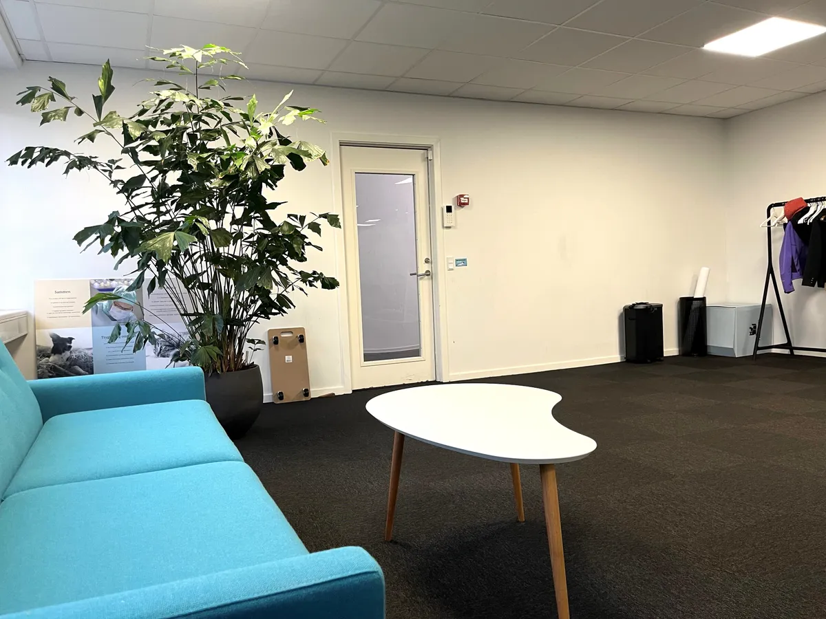 Kontorlokaler med en turkisblå sofa, en hvid kaffebord og et stort bladværk i hoveddørens baggrund