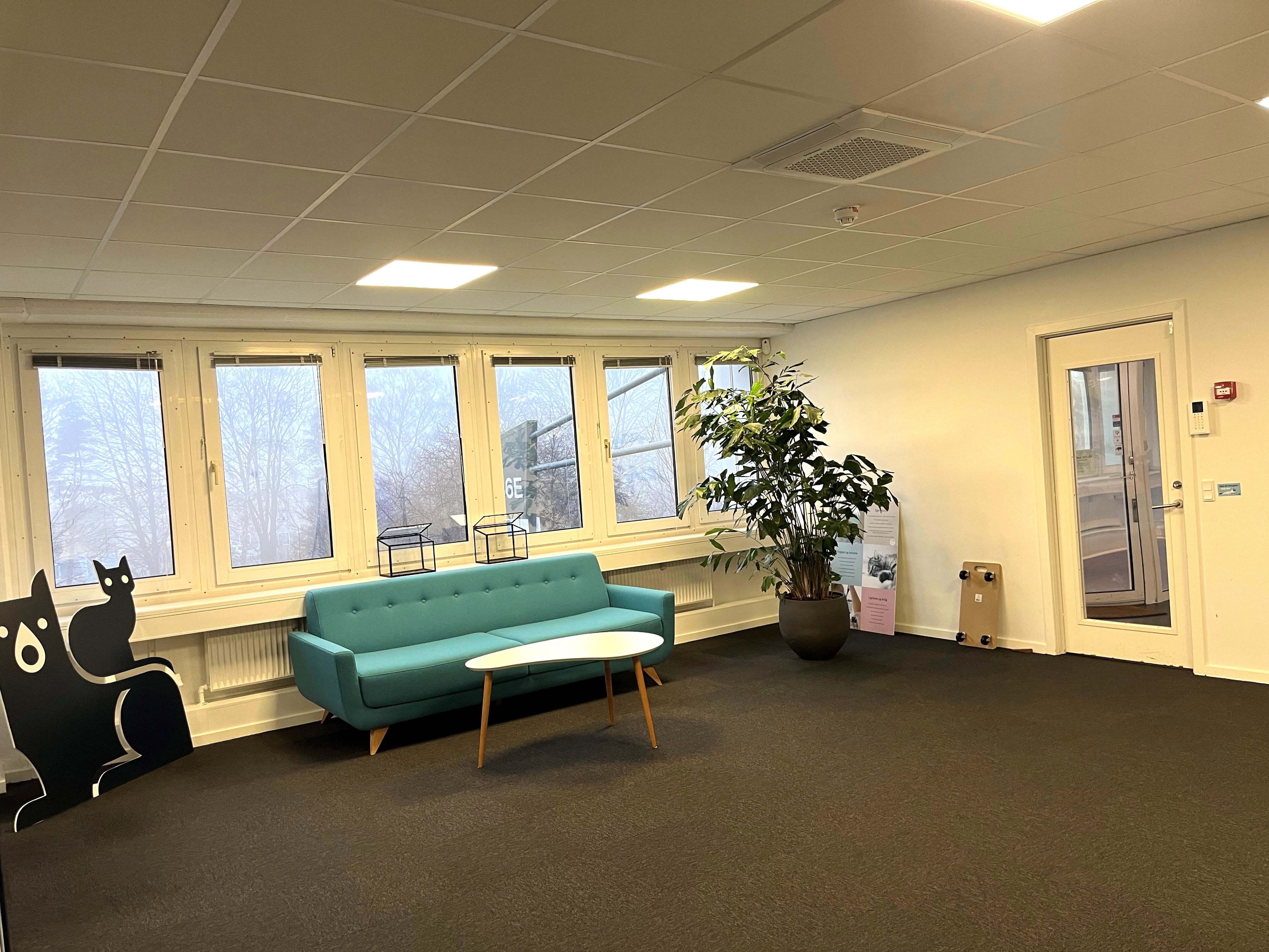 Kontorlejemål med vinduer og klimaanlæg, sofa, plante og hvide vægge i nærheden af letbanen