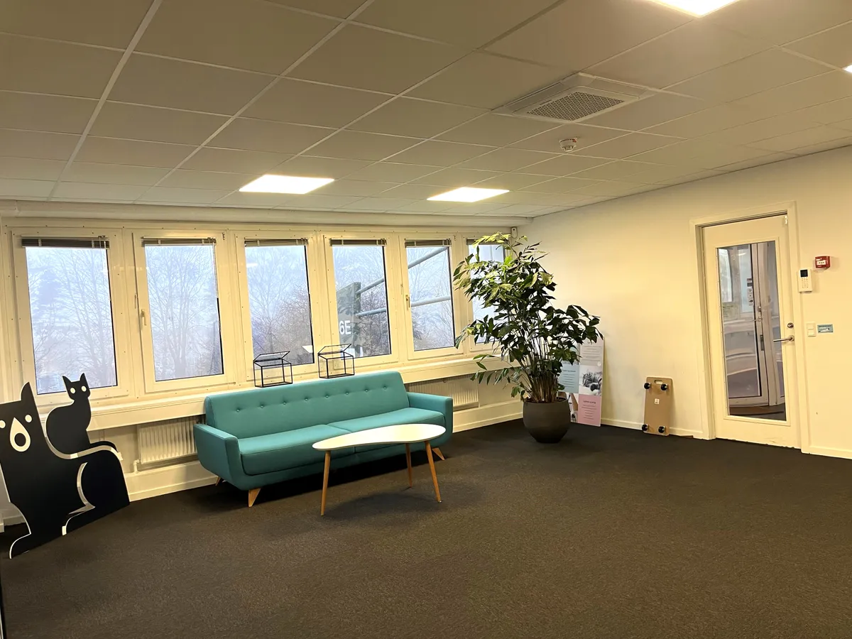 Kontorlejemål med vinduer og klimaanlæg, sofa, plante og hvide vægge i nærheden af letbanen