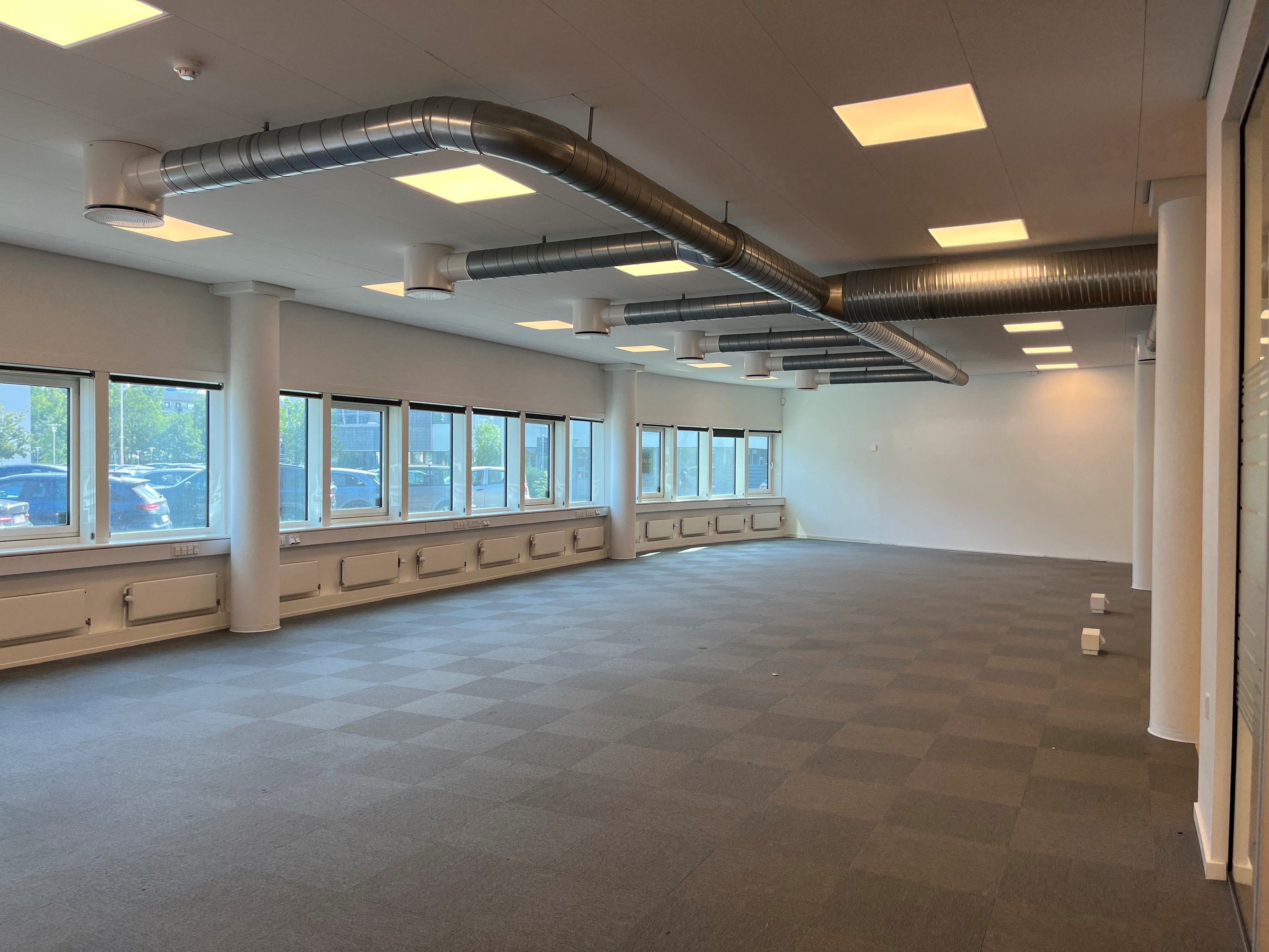 Store tomrum med højt til loftet, store vinduer og hvide vægge. Trægulv og mange lamper.