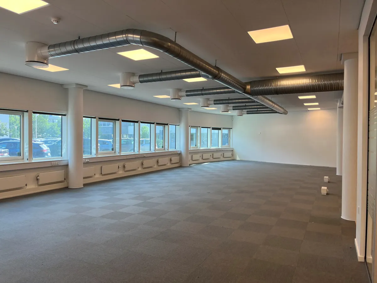 Store tomrum med højt til loftet, store vinduer og hvide vægge. Trægulv og mange lamper.