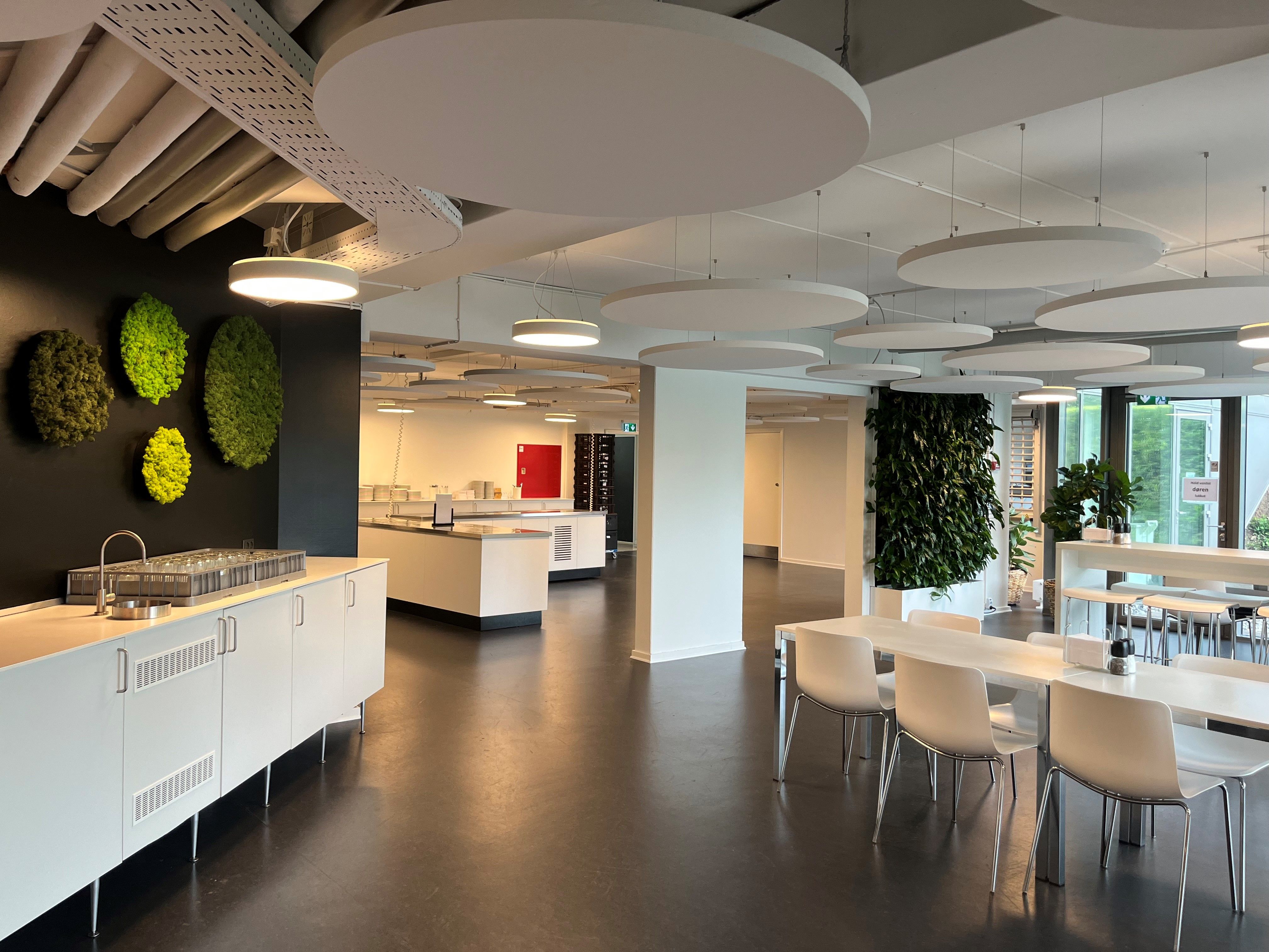 Kontor i Borupvang 5C med højloft, plantevægge og hængende rundt lys. Bord og stole samt lyse og lyse gulve.