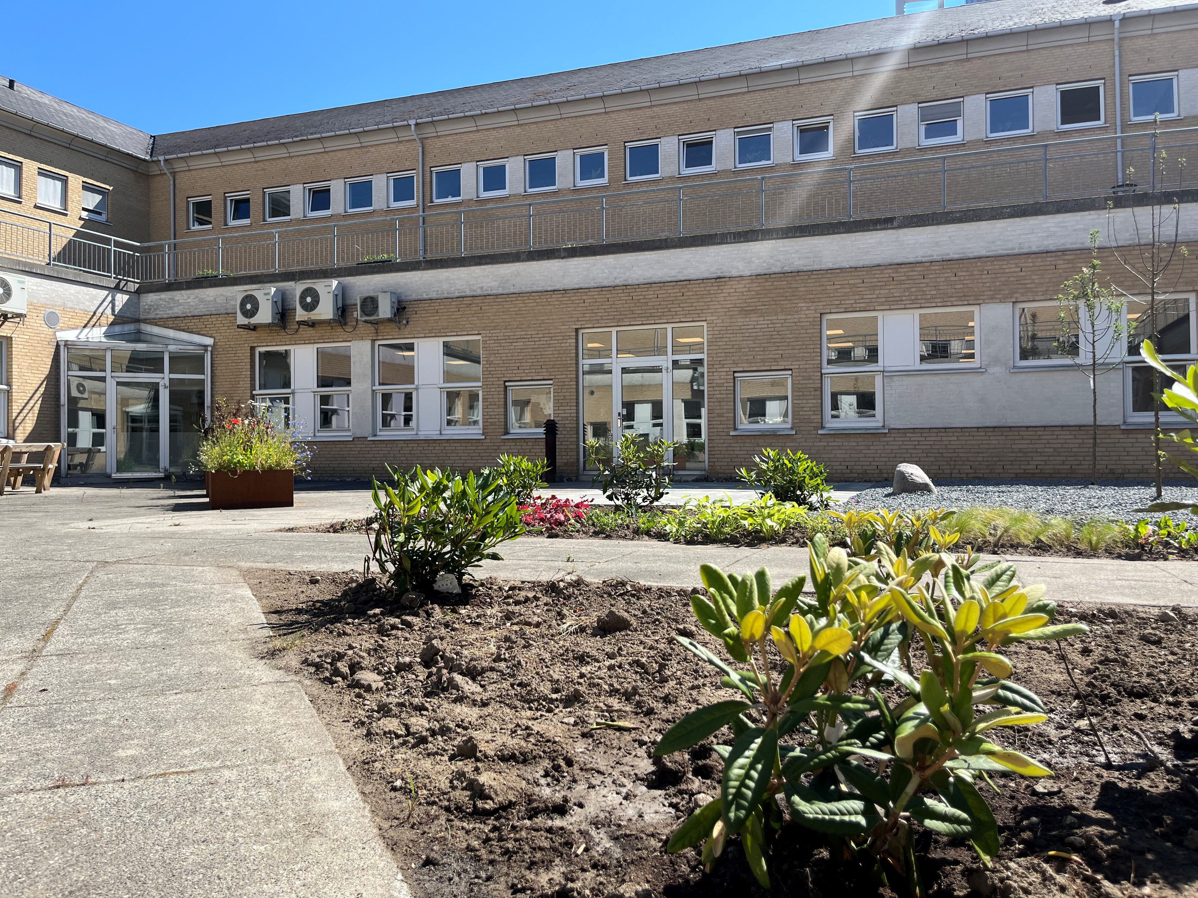 Bygning med flere vinduer og en have med planter og blomster i forgrunden