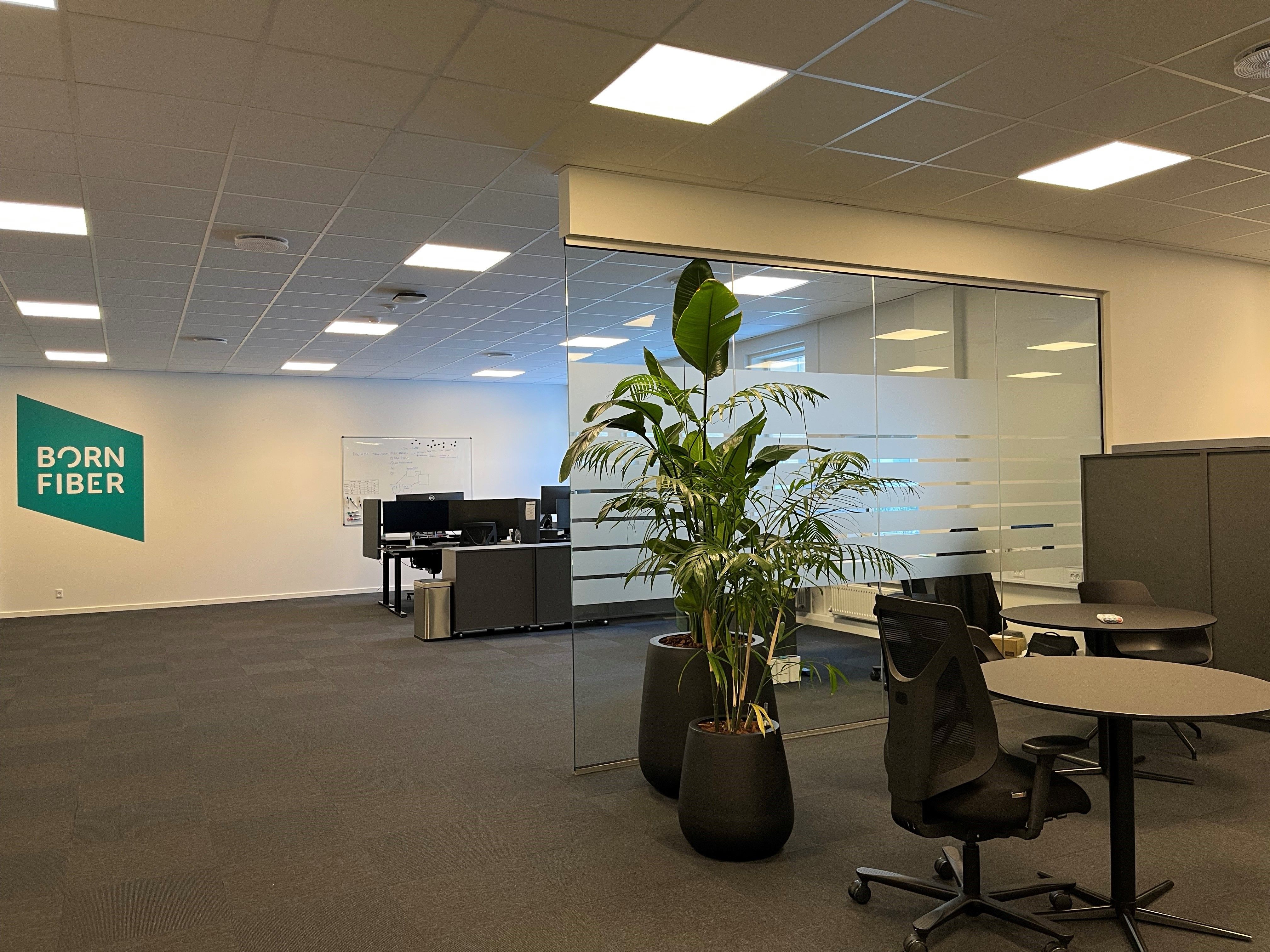 En stor plante i to lysebrune potter står i et moderne kontor med Born Fiber-logoen og flere stole og borde