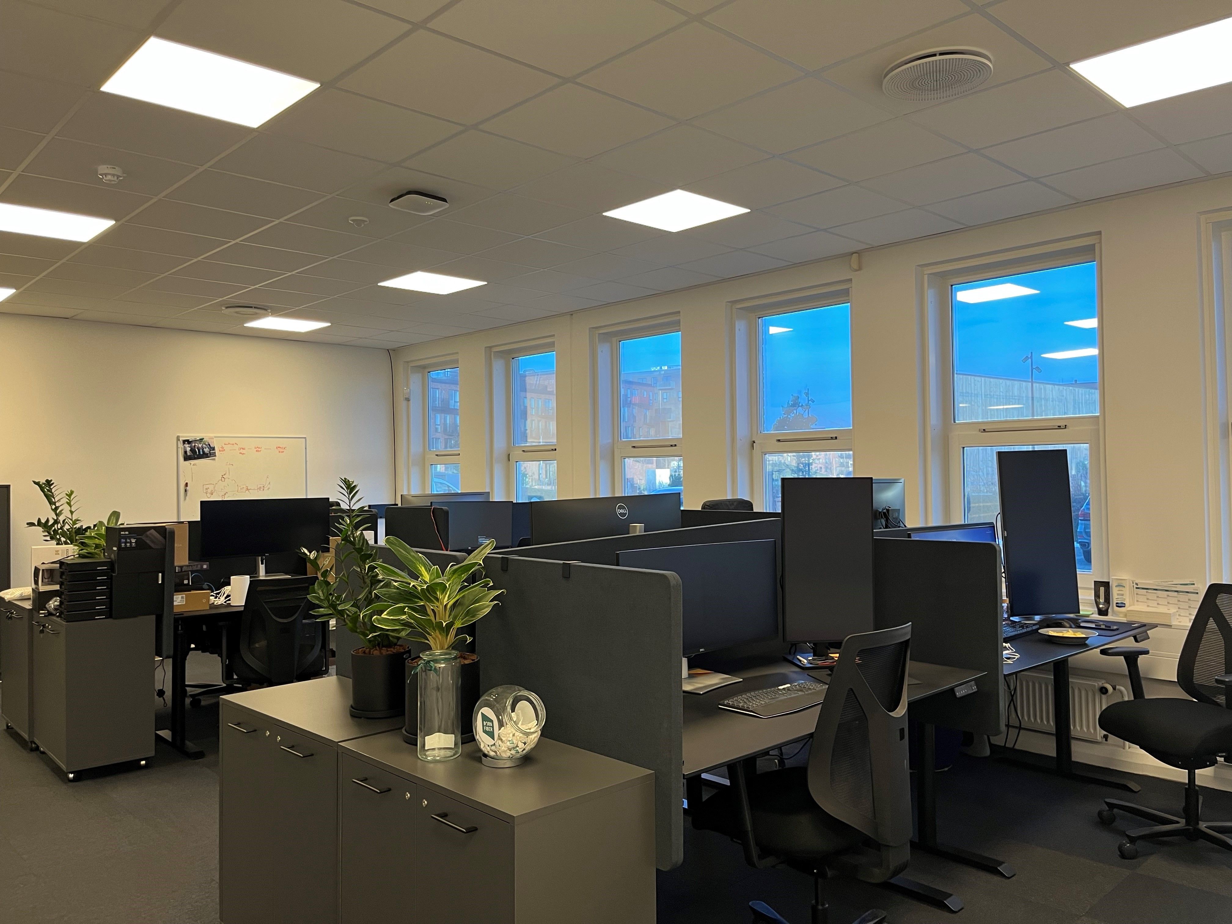 Kontor med lyse vinduer og moderne møbler, hvor de to skriveborde er udstyret med computere og plante i vase, og flere