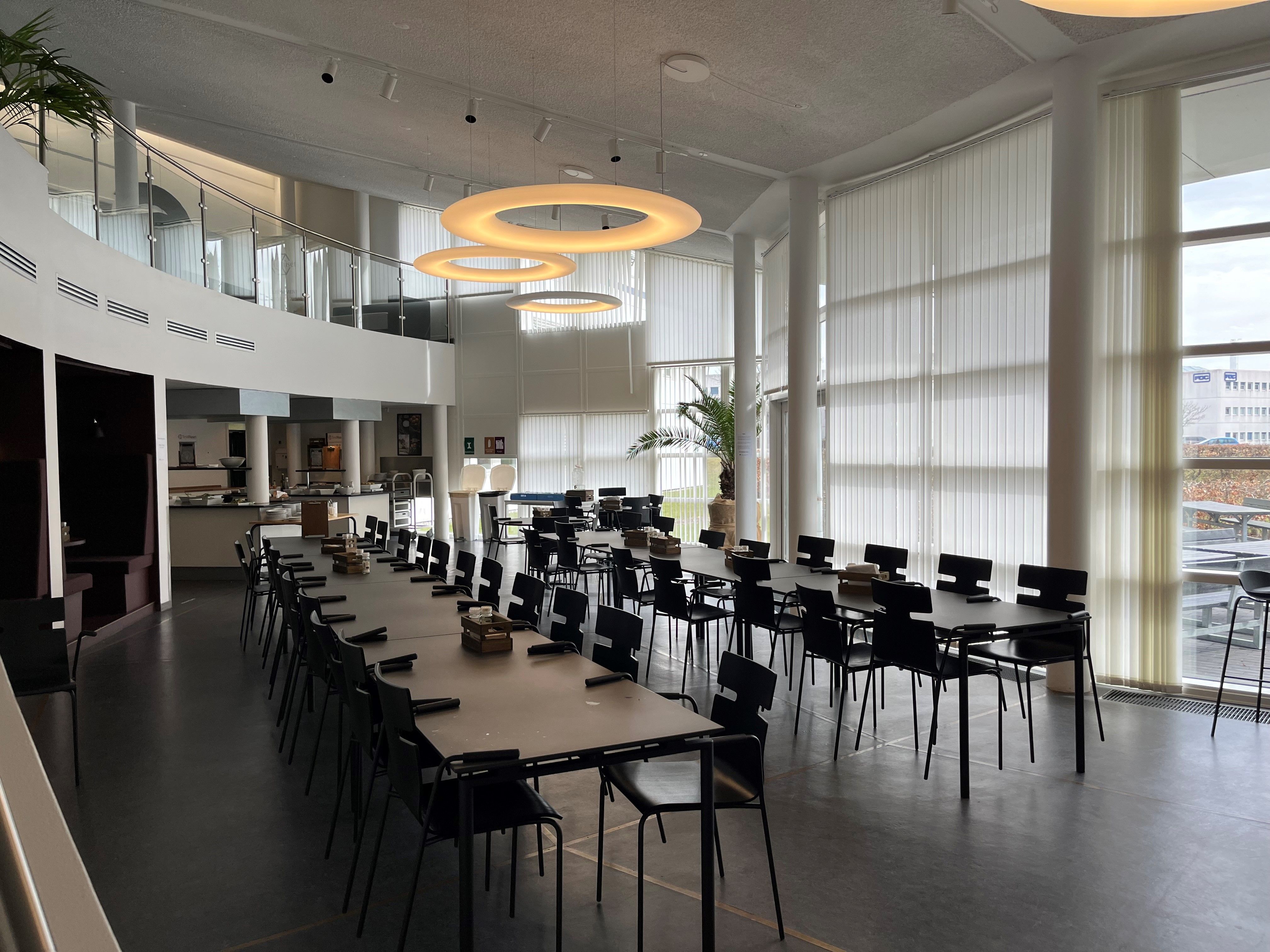 Stort, moderne spisested med lyse loftslamper, hvide jalousier og træplanter i jordnært område