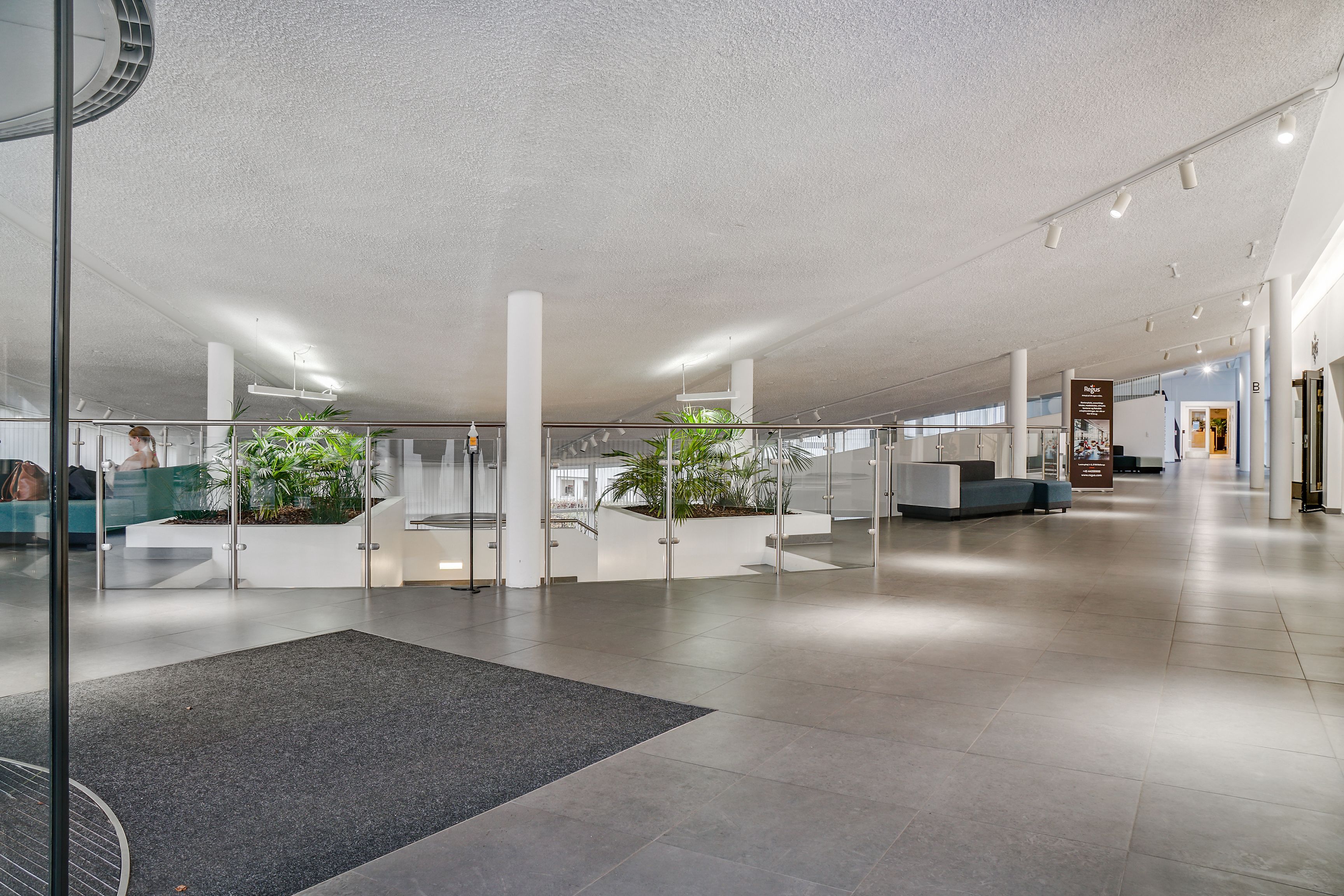 Lejlighedsindgang med lyse gulve og trægulve. Stående plante i højde med gulvet. Værelser med glasvinduer og sofaer. Højt