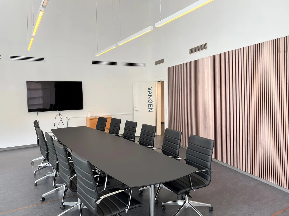 Lejlighed med møbler og tv-skærm. Væggen har et elegant mønster og en dør med navnet Vangen. Loftet er udstyret med lyse og