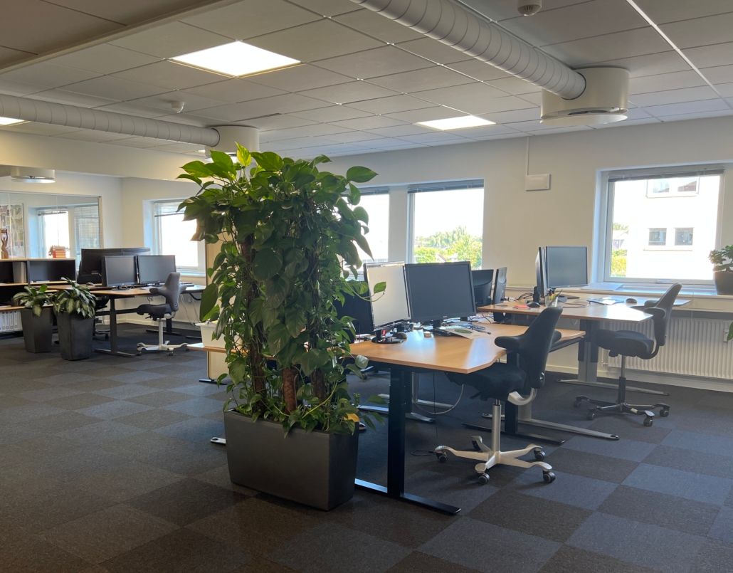 Et moderne kontor med skriveborde og stole samt store planter og vinduer til lys og udsigt