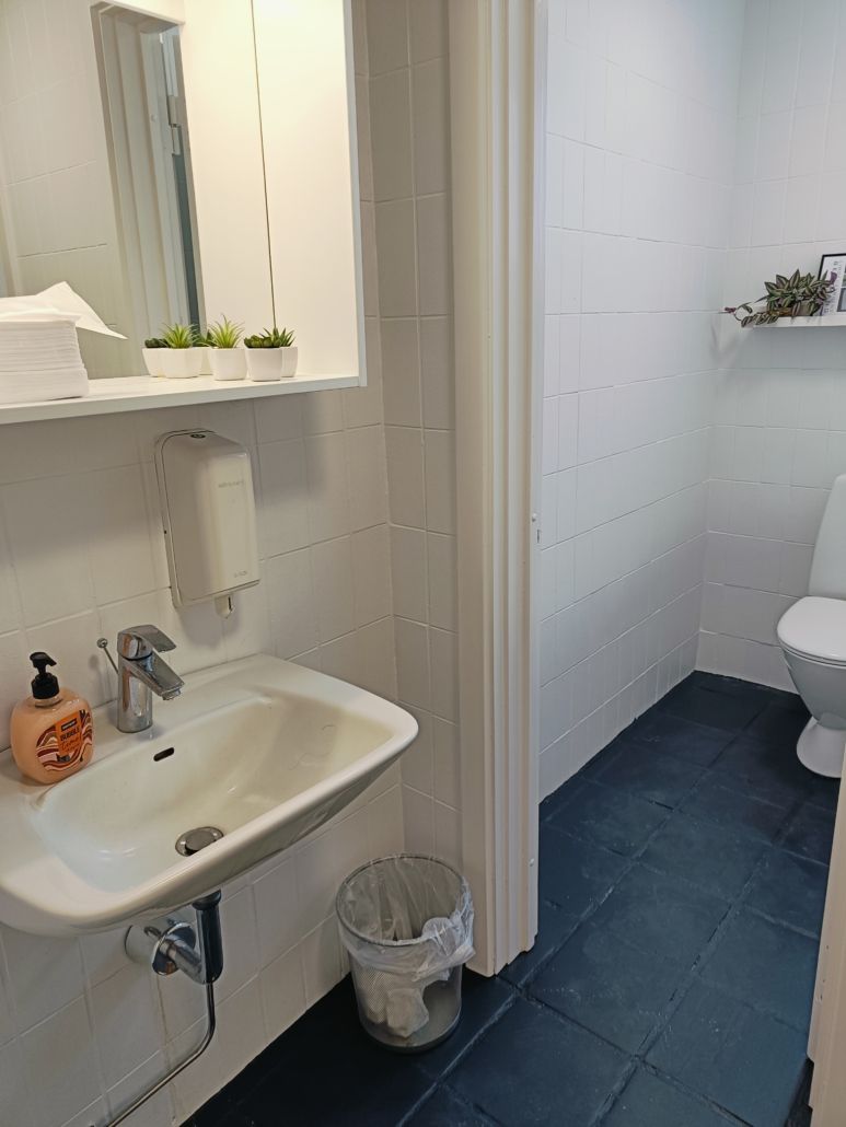 Et lille og rent badeværelse med en hvid vask, en hvid toilet og et skab med tre små planter og et toiletpapir.