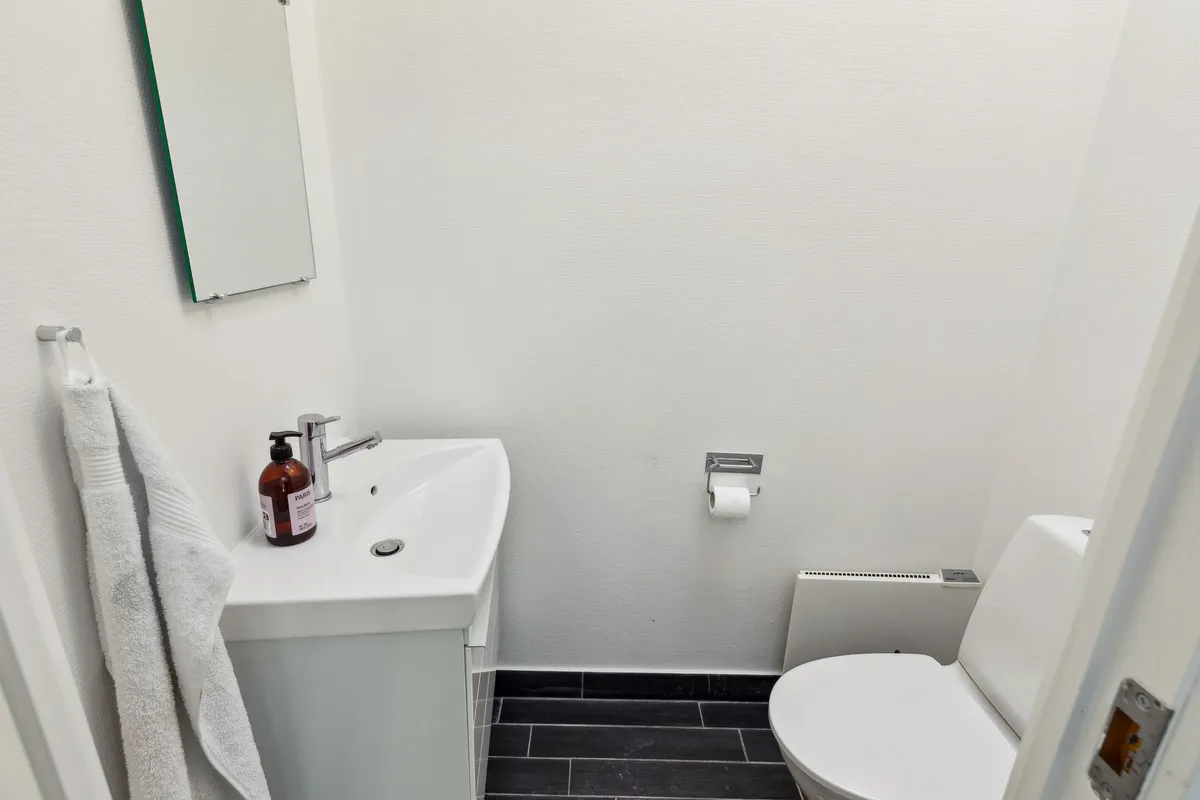 Rent og pænt lille badeværelse med toilet, håndvask og spejl samt varmeapparat og håndsæbe på toiletvæggen