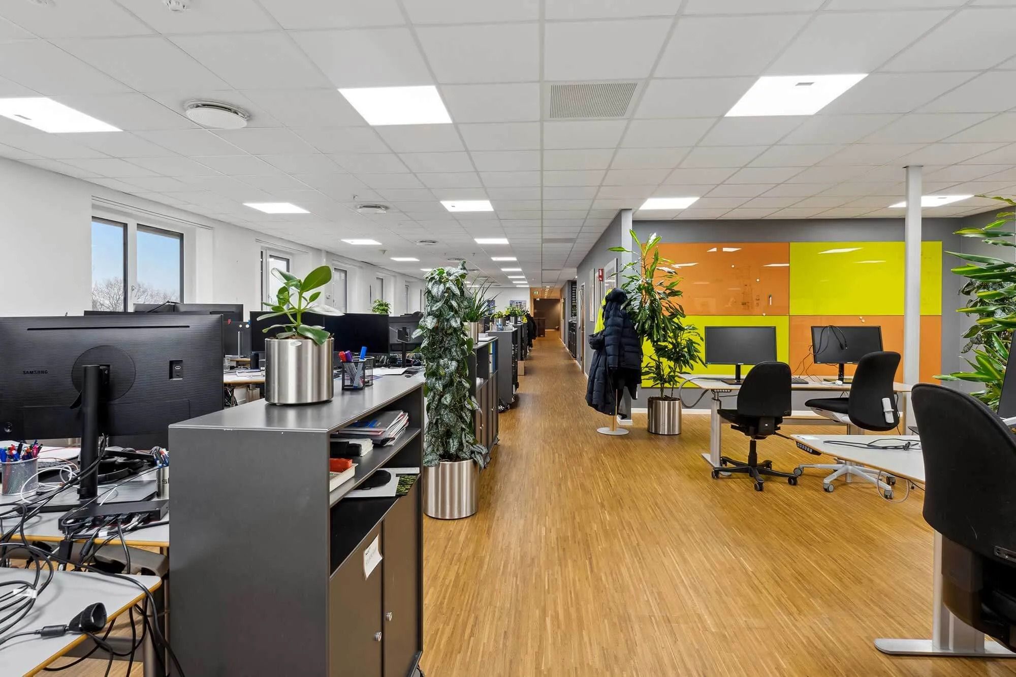 Kontor med lysegult loft, højdepunkter med plantepoter, sort stol, og lyserøde og gule vægge med glas