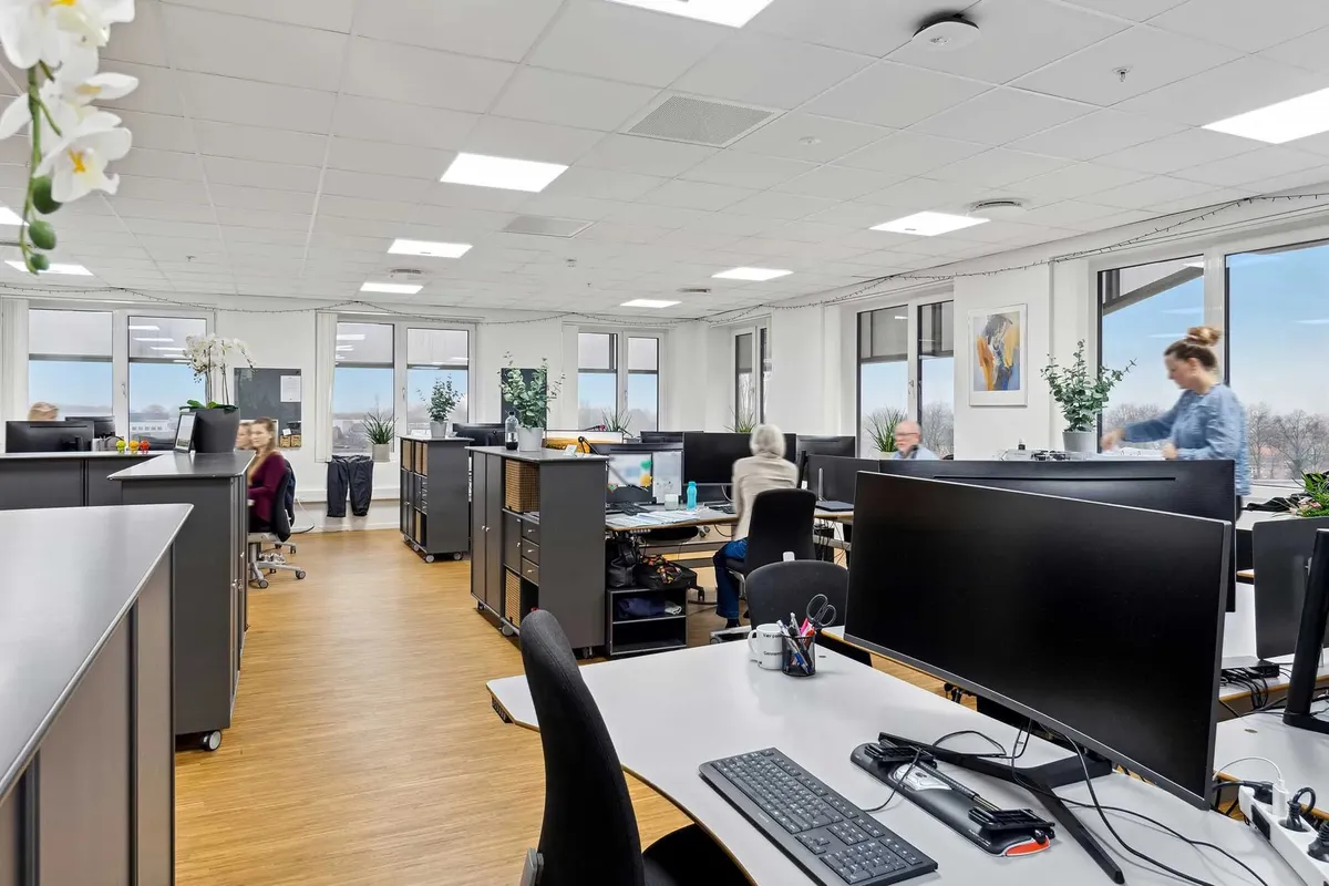 Kontorrum med flere computere og personale i arbejde. Moderne interiør med lyse gulve og vinduer med udsigt til skoven