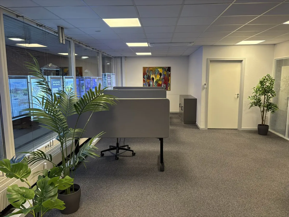 Kontorlokaler med skriveborde, plante og lyse lofter. Der er en glasdør og et maleri på væggen.