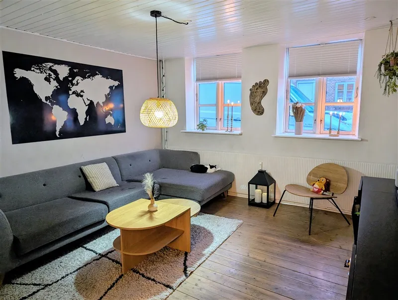 Lejlighed med sofa, træbord, lampe, tæppe, stol, træfod, kærlighedsfod, blomster og kort på væggen