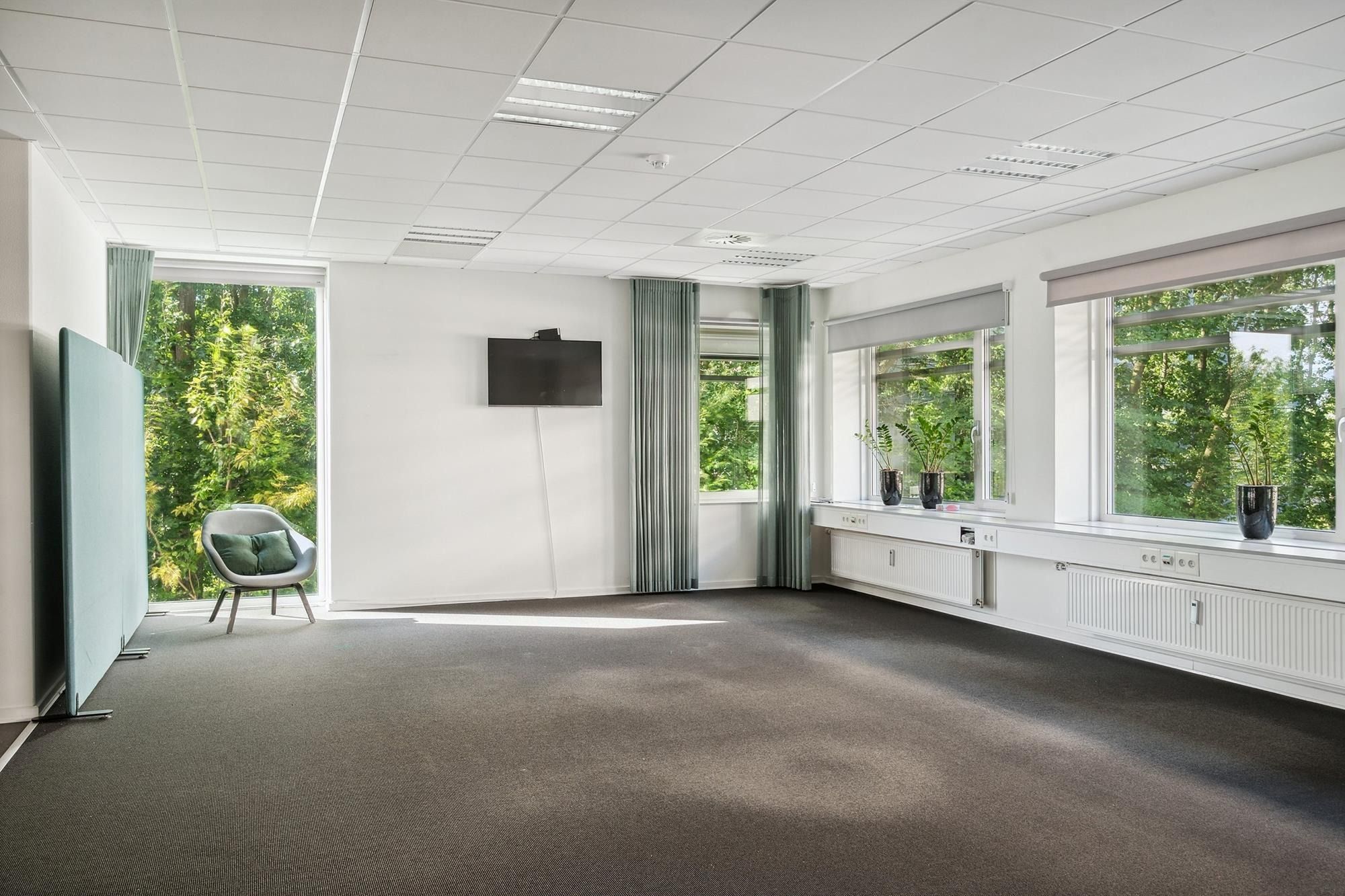 Kontorrum med højt til loftet, tæppegulv, tv på væggen, hvidt møbel og vinduer med grønne planter på vindueskarmen og
