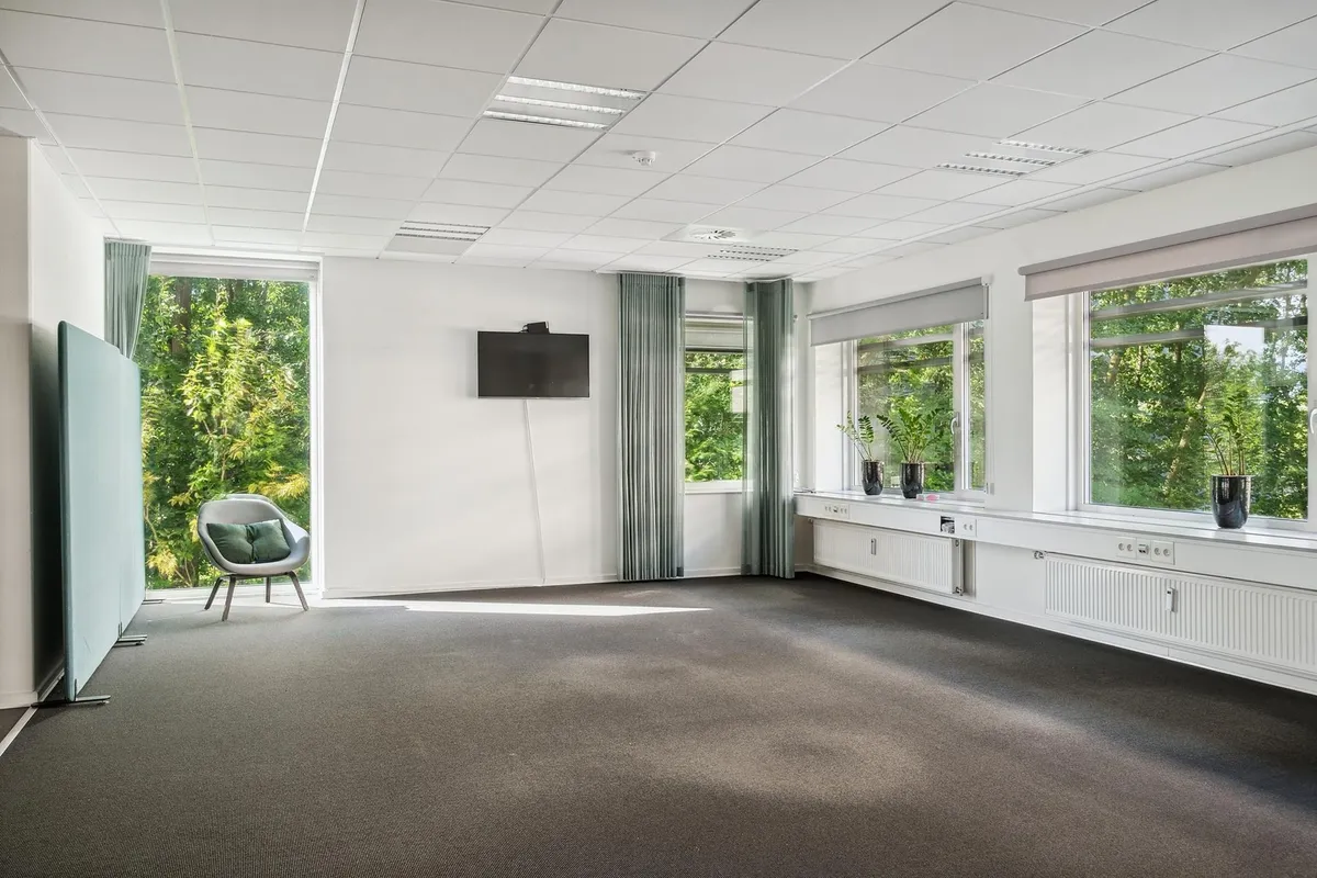 Kontorrum med højt til loftet, tæppegulv, tv på væggen, hvidt møbel og vinduer med grønne planter på vindueskarmen og