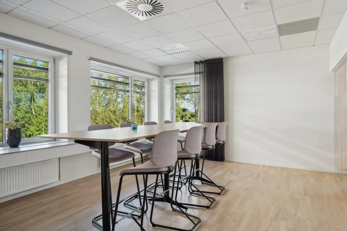 En tom møde- og konferencelokale med moderne interiør, vinduer med udsigt til skov og plante i vase på vindueskarm