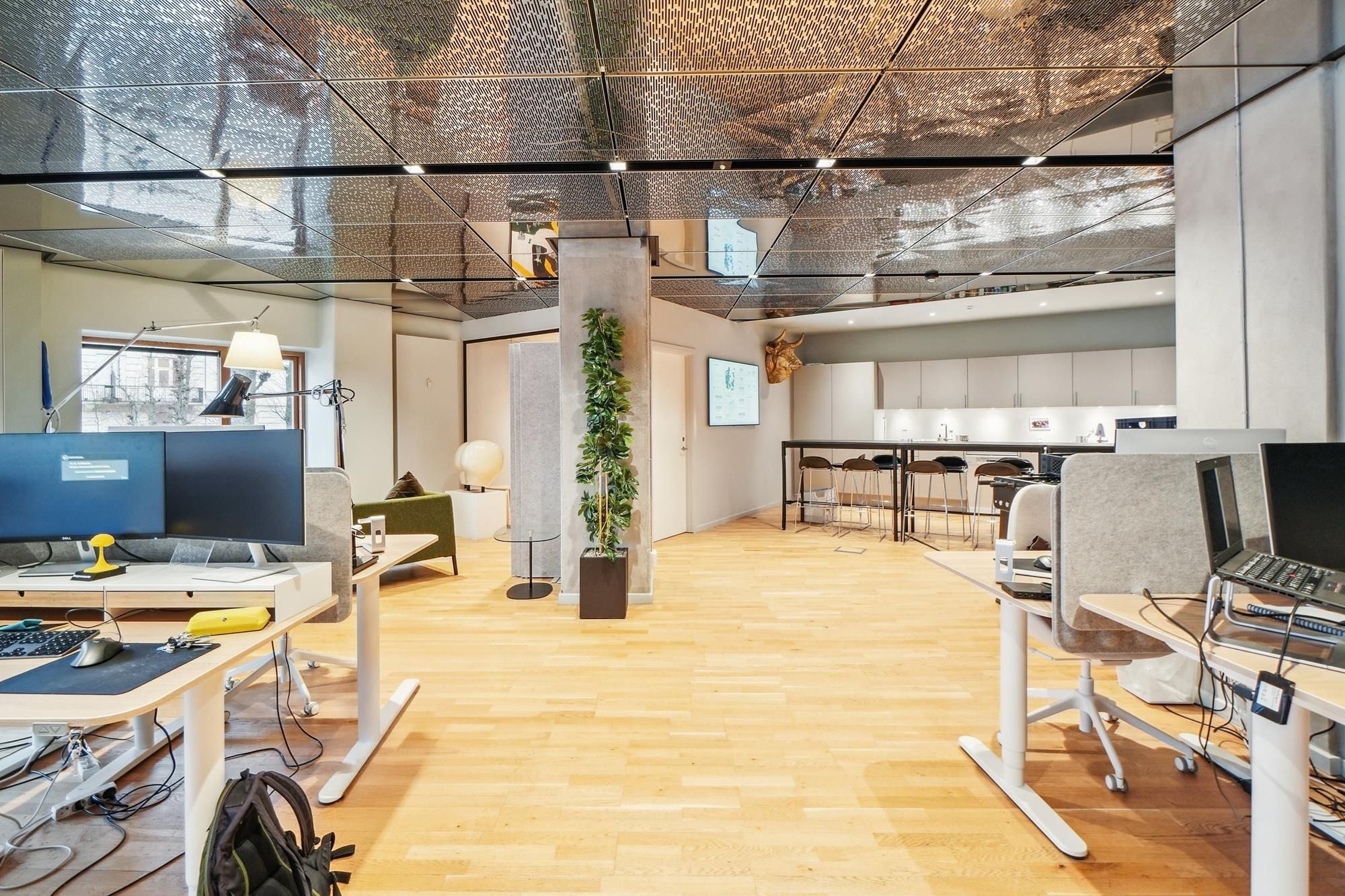 Kontor med høje hvide vægge og trægulv, computere på skriveborde og træpotter med planter