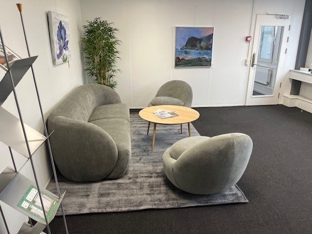 Hyggelig stue med møbler og dekorationer i et kontor med en stor malet plante og to malerier på væggen