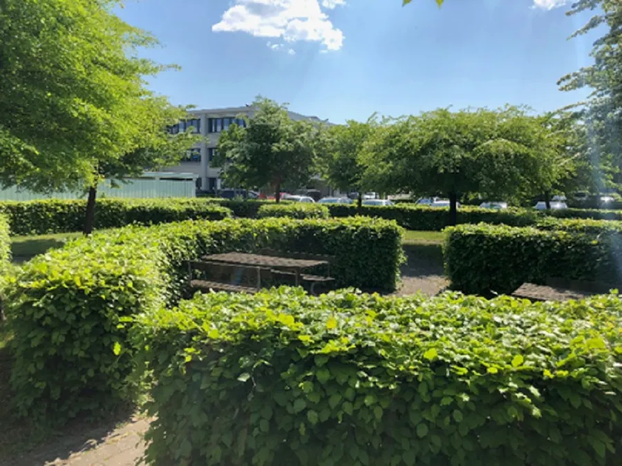 Have med lyse grønne buske og træer, to bænke og et piknikbord i baggrunden