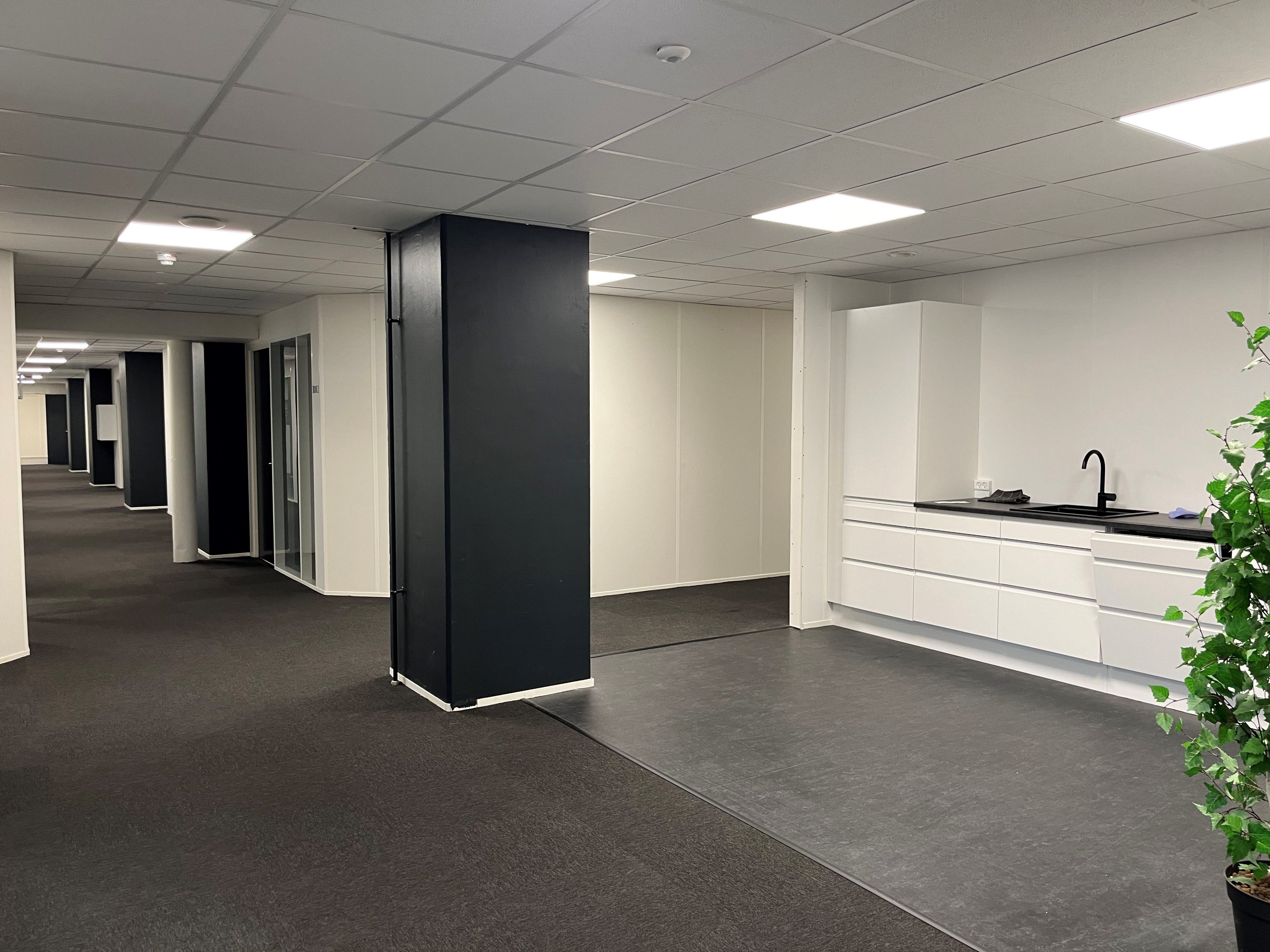 Moderniseret fælleskontor med højt til loftet, lyse lofter, hvide vægge, gulvbelægning og sort søjle. Møbler og plante i