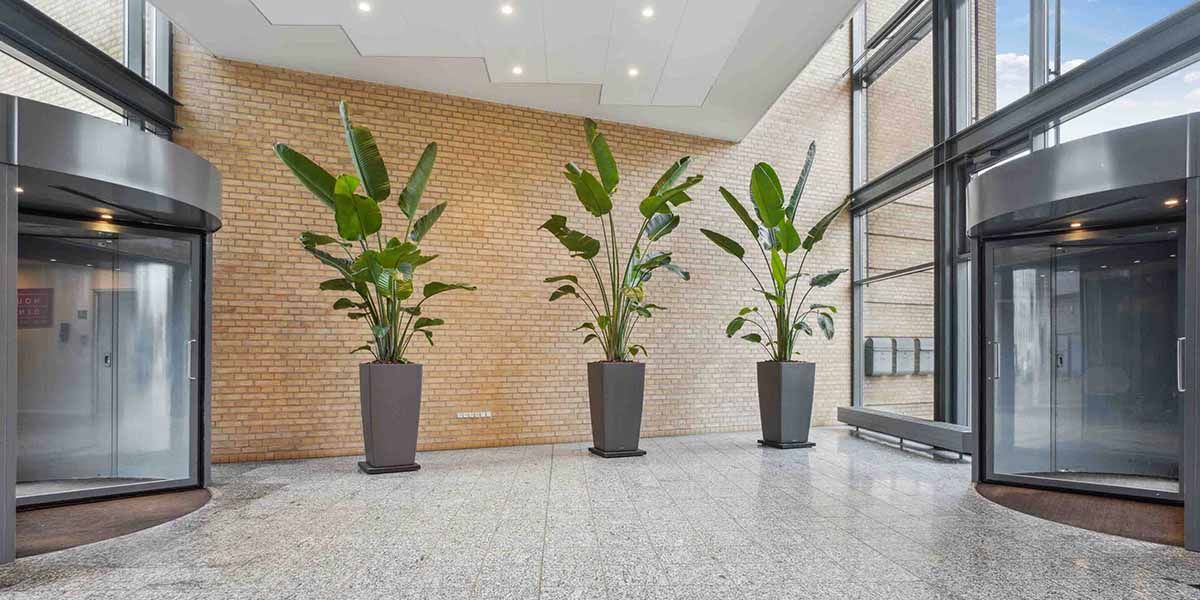 Indenfor en elegant lobby er der tre store planter i lysebrune potter samt to glasdøre med automatiske drejemekanismer og en