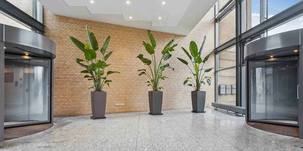 Indenfor en elegant lobby er der tre store planter i lysebrune potter samt to glasdøre med automatiske drejemekanismer og en