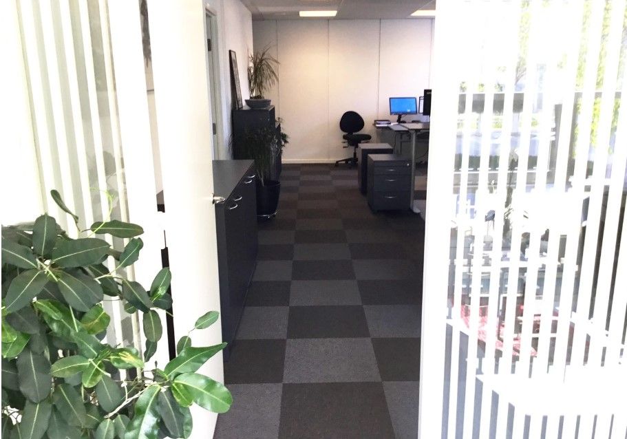 Kontorlokale med skrivebord, computer, stol og plante. Det er lyst og rummeligt med møbler og tekstiler i sort og grå.