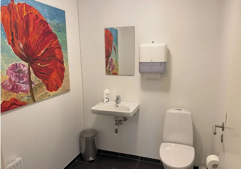 Toilettet med hvid toilet og undertøjsskab har et kunstværk med en rødt og pink blomst. Der er en hvid håndsæbeflaske og et