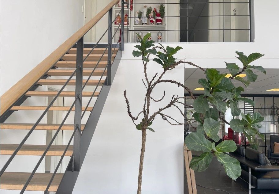 En moderne stue med masser af plads, en stor kunstplante, et skrapeløft, og en køkkenblok med en høj sovesofa