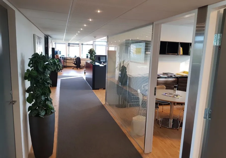 Kontorlokale med moderne møbler, to stolpeplanter, runde borde og høje lofter med indbyggede lygter