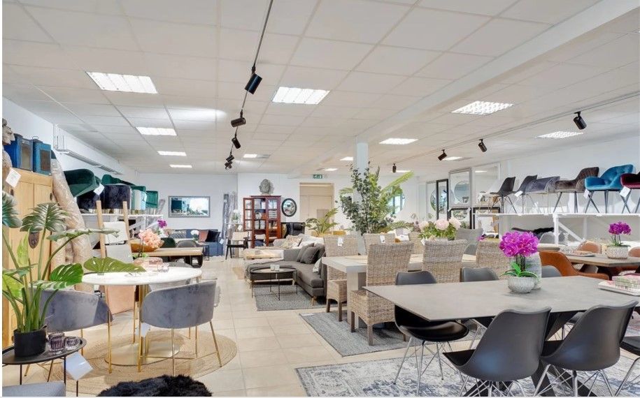 Et moderne indretningsstudie med eksotiske planter, raffinerede stole, lange borde og moderne indretningsgenstande.