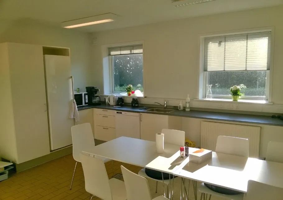 Moderne køkken med hvide vægge, lysegult gulv og hvide møbler og diske og apparater samt vinduer med grønne planter