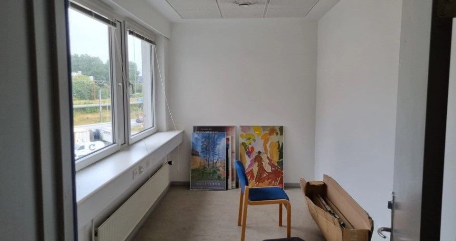 Kontorlokale med lyse, lysegule vægge, to store malerier, en brændenælde og en hvid sofa med blå pude